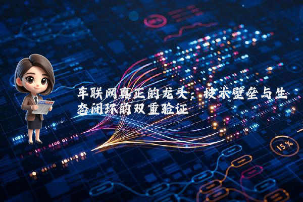 车联网真正的龙头：技术壁垒与生态闭环的双重验证