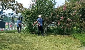 果然财经|5万小车卖不动40万以上的抢着买，微型代步车遇冷