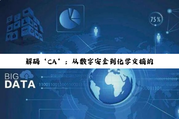 解码‘CA’：从数字安全到化学文摘的多维智慧之旅