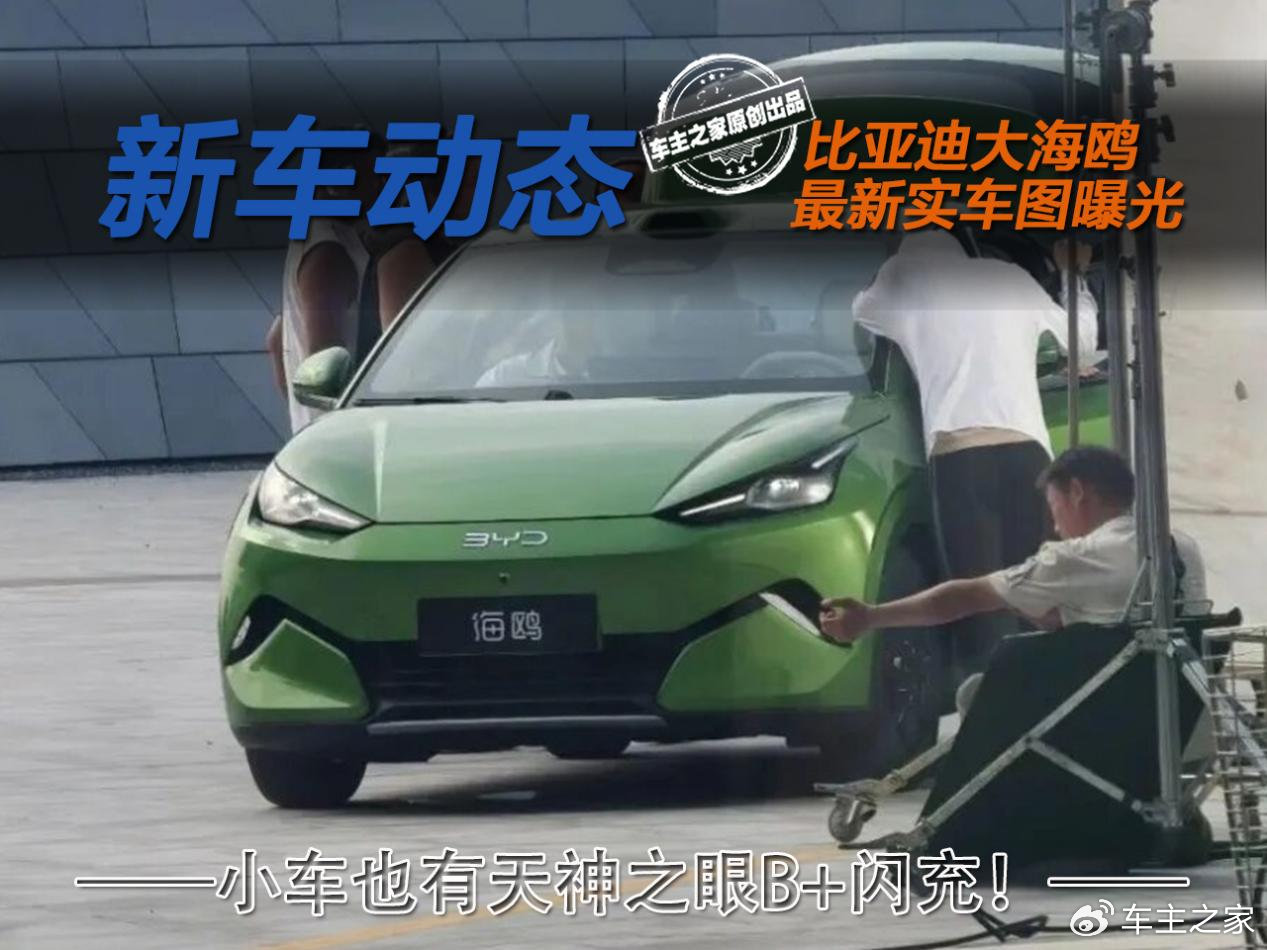 全新比亚迪海鸥新一轮实车图曝光！小车也有天神之眼B+闪充？